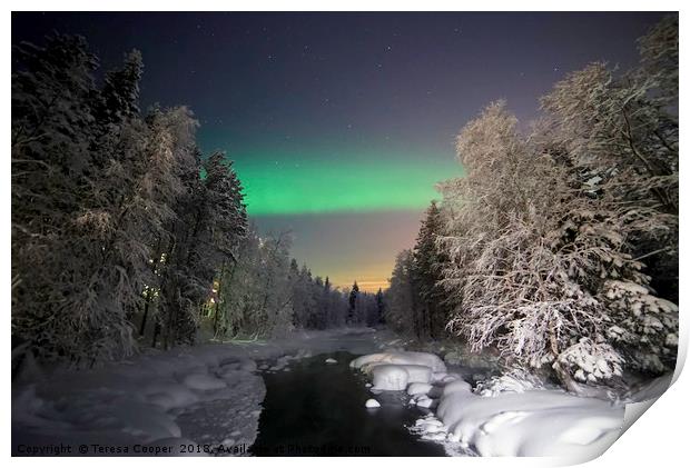 The Aurora Borealis dances over a wintered stream Print by Teresa Cooper