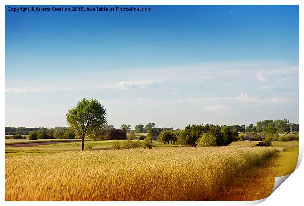 Rural wheat field view Print by Arletta Cwalina