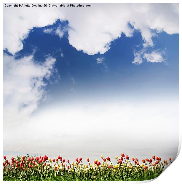 Red and yellow tulips and cloudscape  Print by Arletta Cwalina