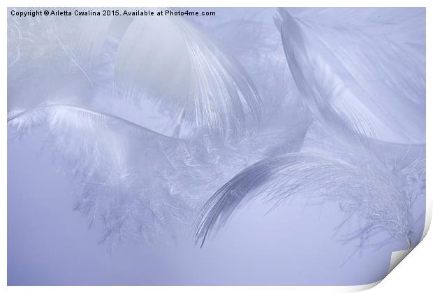 feathers hover on blue Print by Arletta Cwalina