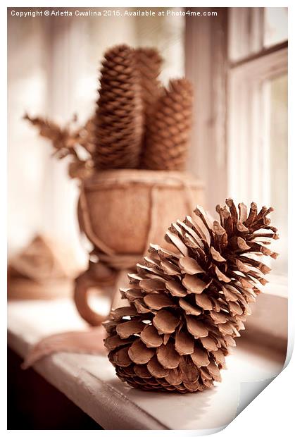 old dried cones on windowsill sepia toned  Print by Arletta Cwalina
