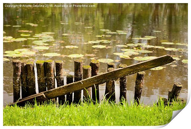 broken wooden fence on pond shore Print by Arletta Cwalina