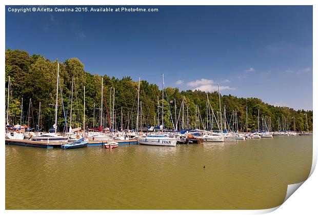 Pod Debem yachts marina Print by Arletta Cwalina