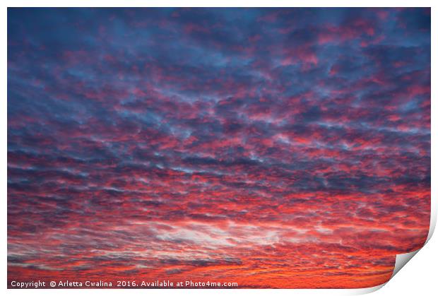 Spectacular red blue sunset sky Print by Arletta Cwalina