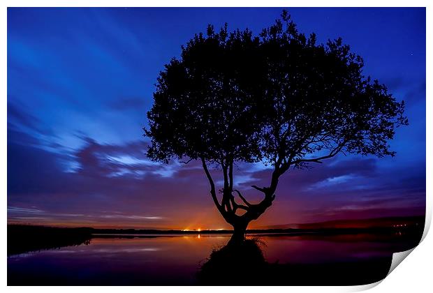  The Lonely Tree Silhouette  Print by Dean Merry