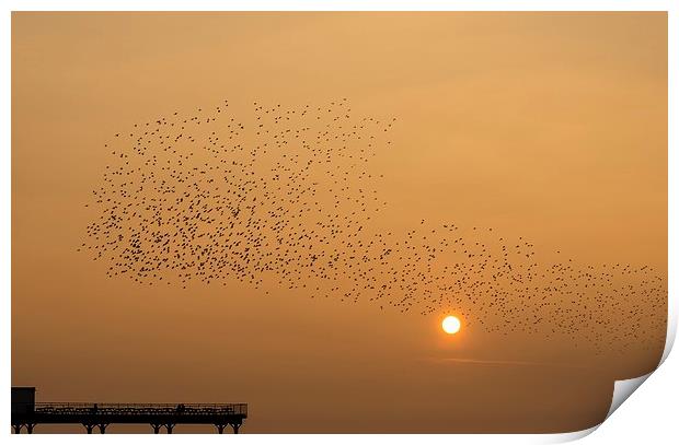  Murmuration of starlings Print by Dean Merry