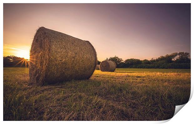  Bales of hay Print by Dean Merry