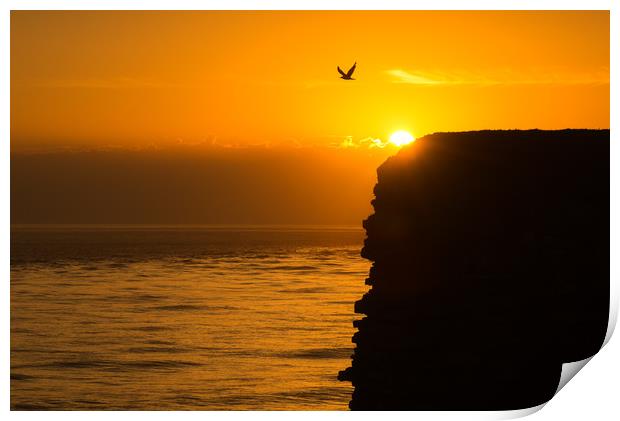 Nash point sunset silhouette Print by Dean Merry