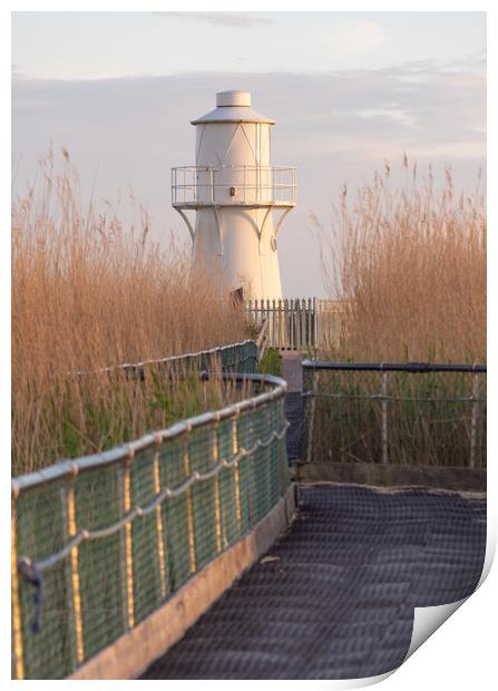 East Usk Lighthouse Print by Dean Merry