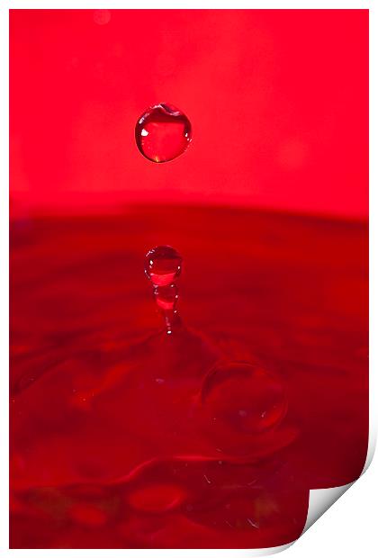 Red Water Splash Print by andy myatt