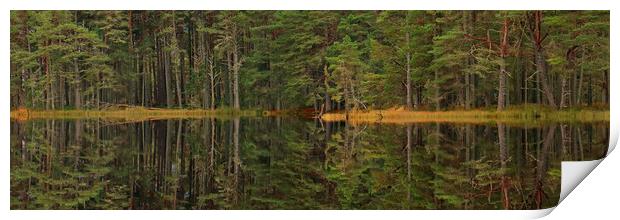 Panoramic tree line reflection Print by Michael Hopes