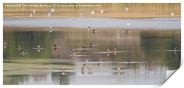 Godwit & Lapwing Print by Stef B