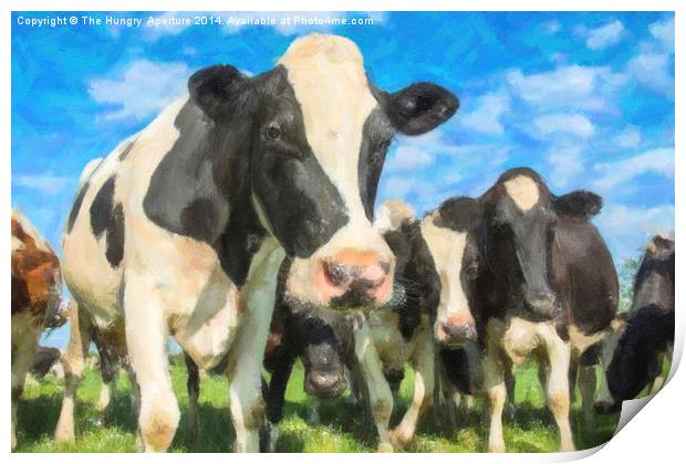 Nosey Cows Print by Stef B