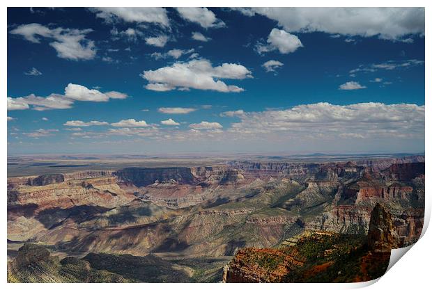  Point Imperial Grand Canyon Print by Angela Rowlands