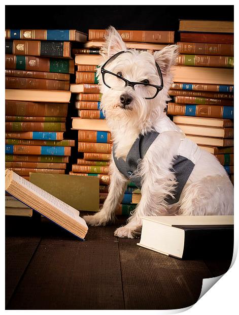 Dog reading books Print by Edward Fielding