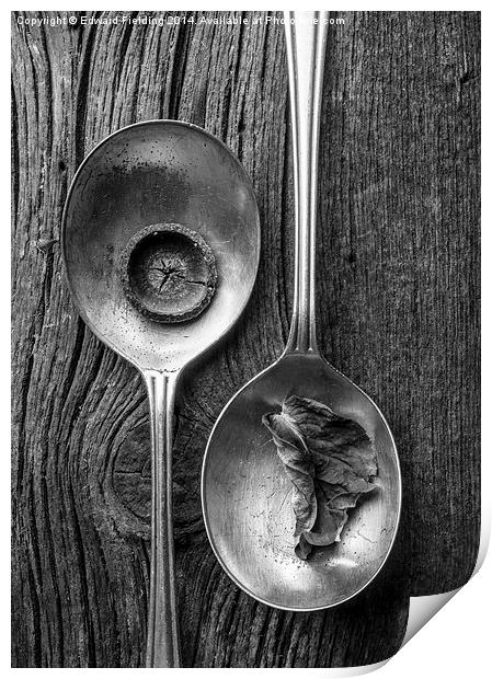 Silver Spoons Still Life Black and White Print by Edward Fielding
