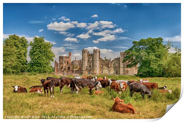Ruins of Cowdray House Midhurst West Sussex Print by John Boud