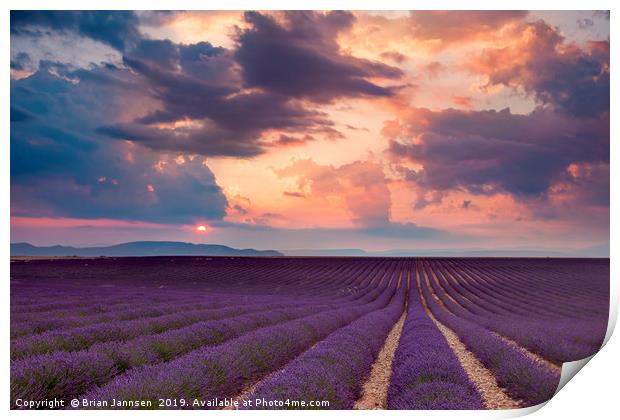 Lavender Field at Sunset II Print by Brian Jannsen