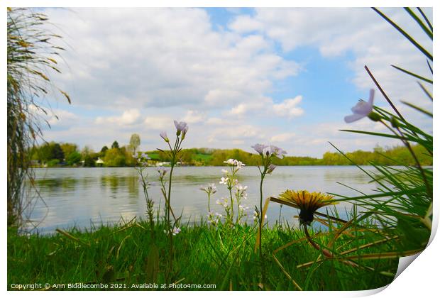 Wild flowers around the Cappy lake Print by Ann Biddlecombe