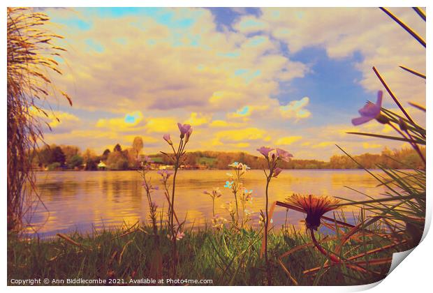 Wild flowers around the Cappy lake edited Print by Ann Biddlecombe