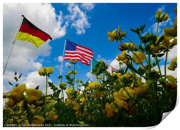 A yellow flowers view of the USA and German flags Print by Ann Biddlecombe