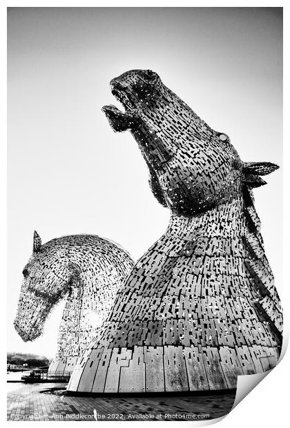Black and white close up of The Kelpies  Print by Ann Biddlecombe