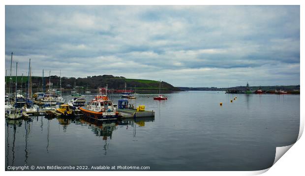 Falmouth harbour looking out to sea Print by Ann Biddlecombe