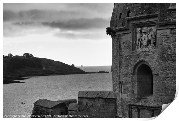 Black and white St Mawes Castle with lighthouse in distance Print by Ann Biddlecombe