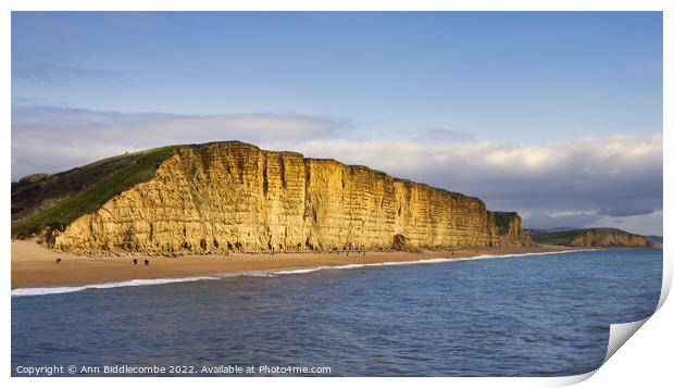 Westbay cliffs also known as broadchurch cliffs Print by Ann Biddlecombe