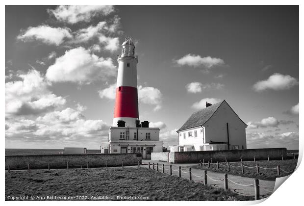Portland lighthouse in spot colour Print by Ann Biddlecombe