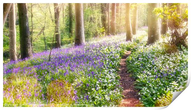 Magical mystical spring forest Print by Ann Biddlecombe