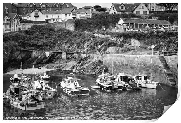 Newquay boats in the harbour Print by Ann Biddlecombe