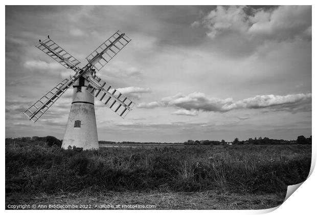 Thurne wind pump Print by Ann Biddlecombe