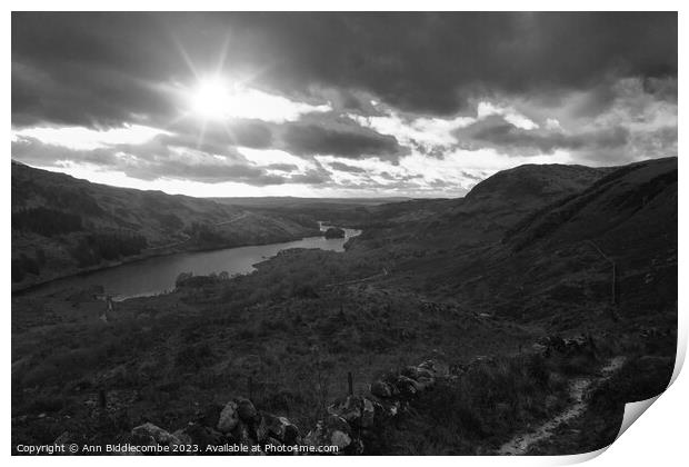View over Loch Trool  Print by Ann Biddlecombe