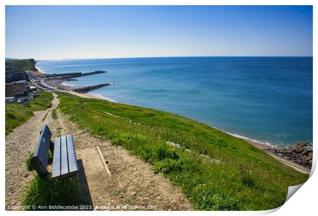 Bench with a view on the path to Westbay Print by Ann Biddlecombe