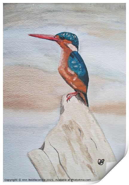 Kingfisher watercolor Print by Ann Biddlecombe