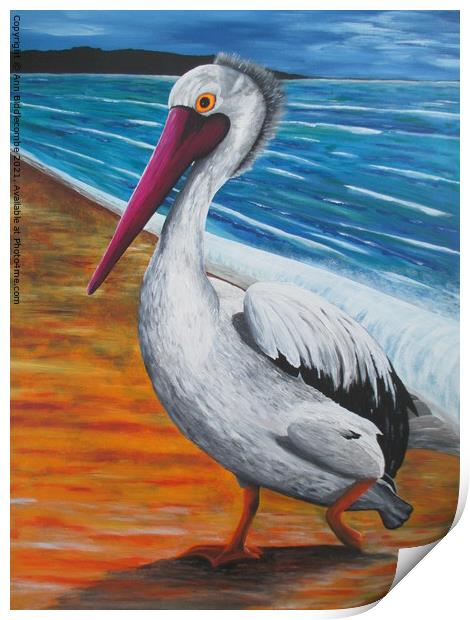 The Pelican Print by Ann Biddlecombe