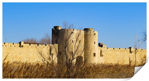Fortress surrounds the medieval town of Aigues Mor Print by Ann Biddlecombe