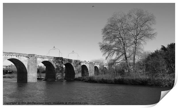 Bridge over the L'Aude River in France in Black an Print by Ann Biddlecombe