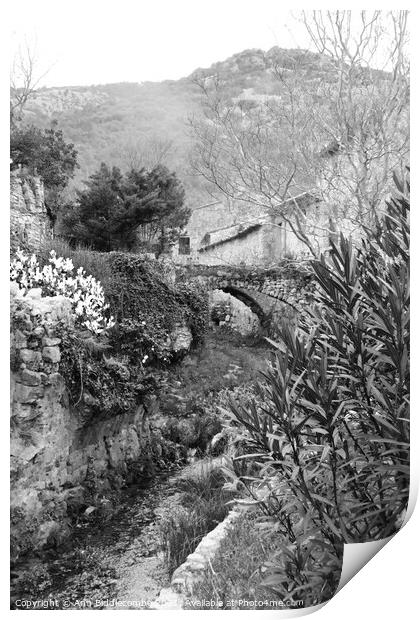 A garden with a bridge over the stream in black and white Print by Ann Biddlecombe
