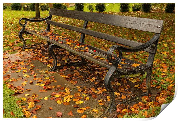  Autumn Bench. Print by Peter Bunker