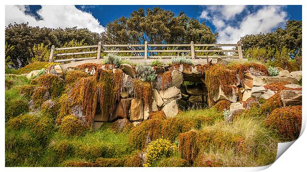  Ornamental Garden and Bridge.  Print by Peter Bunker