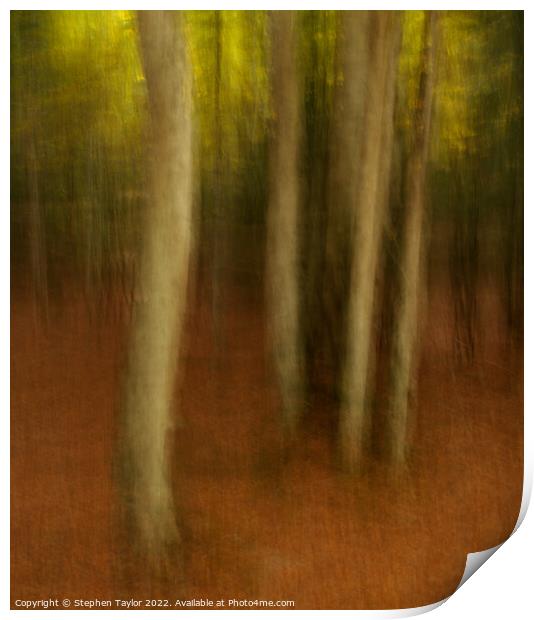 Valle de Ordesa Forest ICM Print by Stephen Taylor