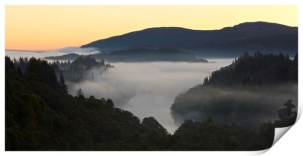  Dawn in the Queen Elizabeth forest Print by Stephen Taylor