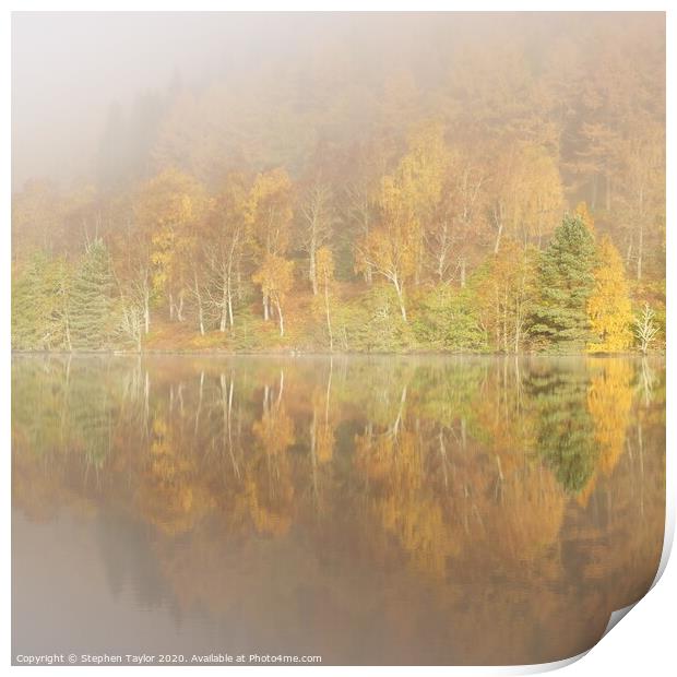 Autumn reflections Print by Stephen Taylor