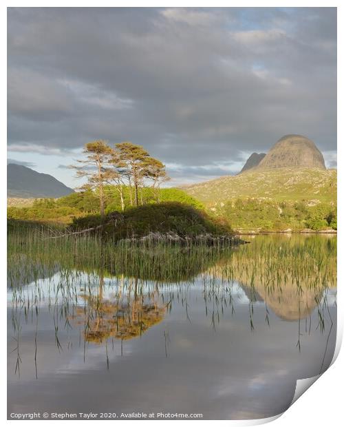 Suilven Print by Stephen Taylor