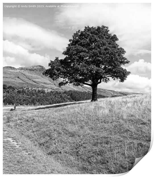 Solitary Sentinel of Dovestones Print by Andy Smith