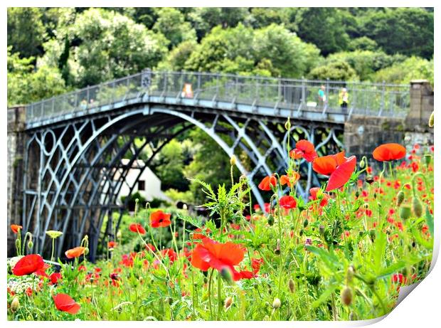 ironbridge gorge with poppies Print by Andy Smith