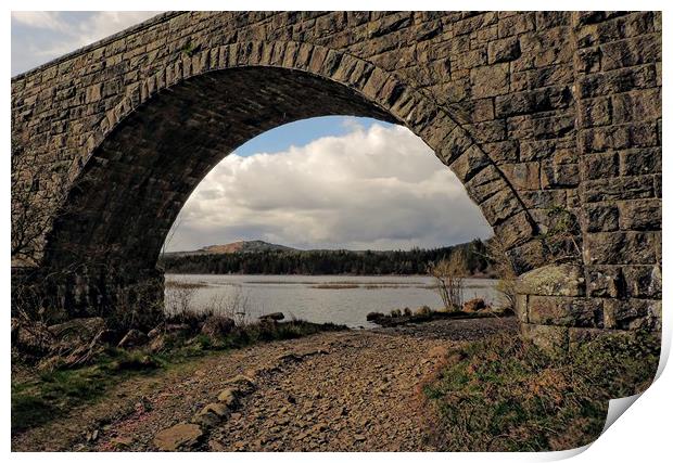 Stroan Loch Raiders Road Dumfries and Galloway     Print by Andy Smith