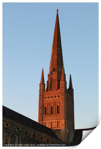 Norwich Cathedral Spire  - Red Sunset Print by Sally Lloyd